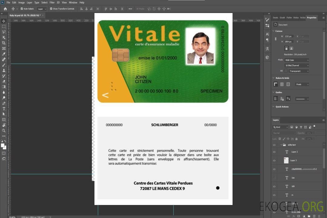 Carte vitale France template